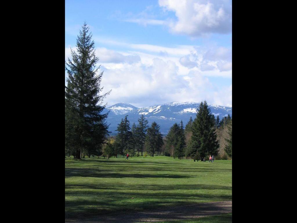 Bayview Hotel Courtenay Exteriér fotografie